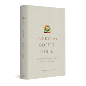 Everyday Gospel Bible